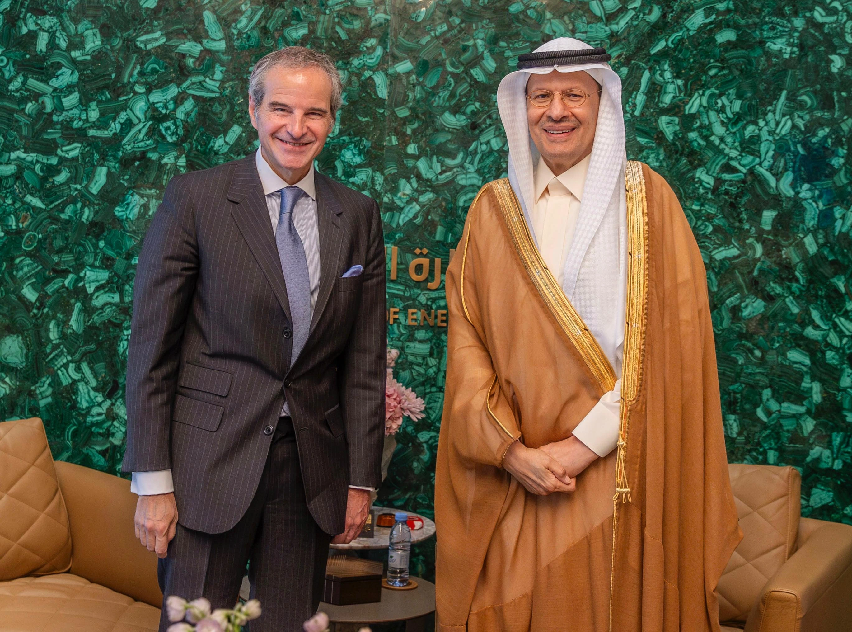 Minister of Energy Meets IAEA Director General